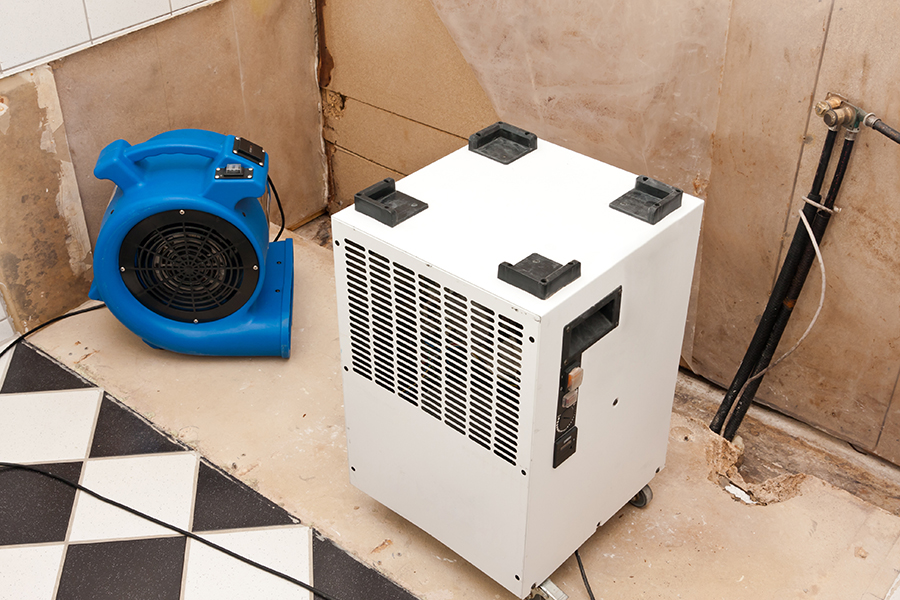 Elimination of water damage with fan and dryer - Belleville, IL